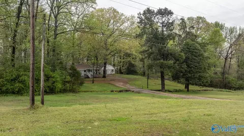 2838 County Road 316, Trinity, AL 35673 photo 39