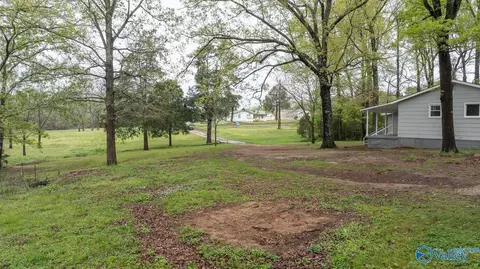 2838 County Road 316, Trinity, AL 35673 photo 38