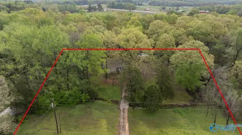 2838 County Road 316, Trinity, AL 35673 photo 28
