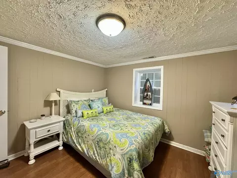 968 Evans Rd, Langston, AL 35755 photo 21