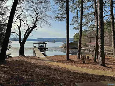968 Evans Rd, Langston, AL 35755 photo 28