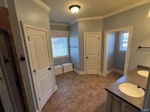 46 Owensby Way, Trinity, AL 35673 photo 20