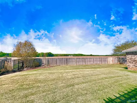 46 Owensby Way, Trinity, AL 35673 photo 27