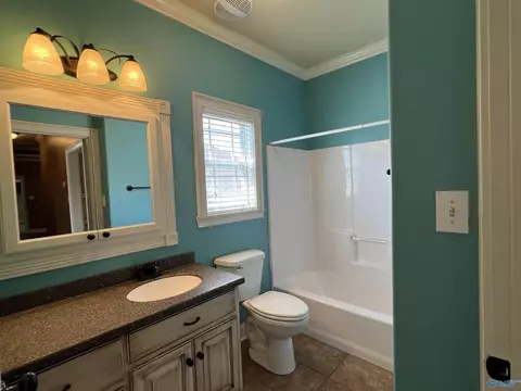 46 Owensby Way, Trinity, AL 35673 photo 22