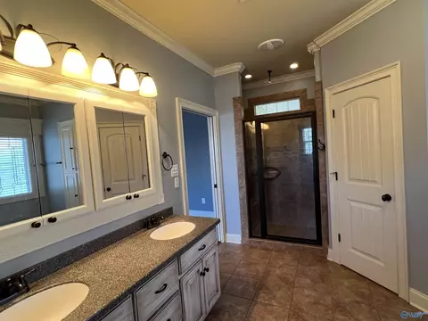 46 Owensby Way, Trinity, AL 35673 photo 18