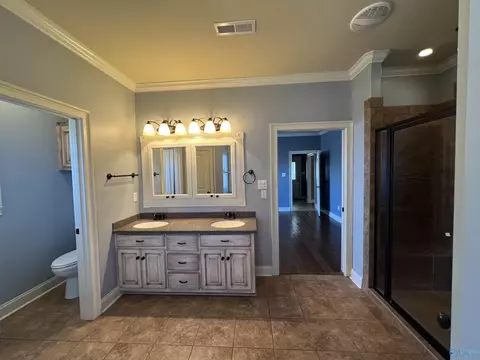 46 Owensby Way, Trinity, AL 35673 photo 19