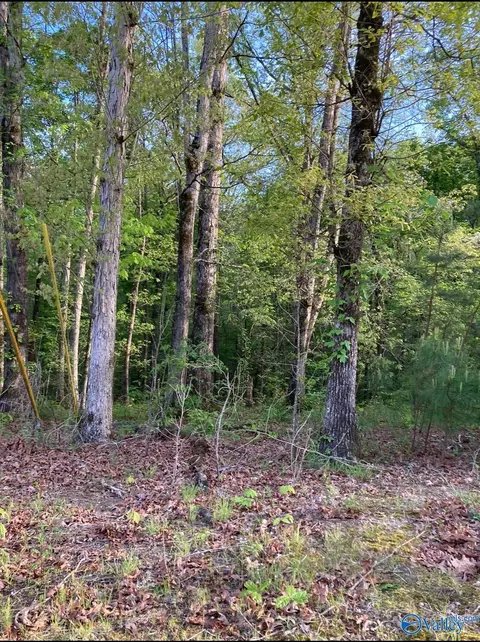 lot1 Louise Ave, Southside, AL 35907