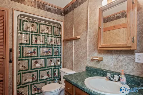 321 Widgren Dr, Arab, AL 35016 photo 38