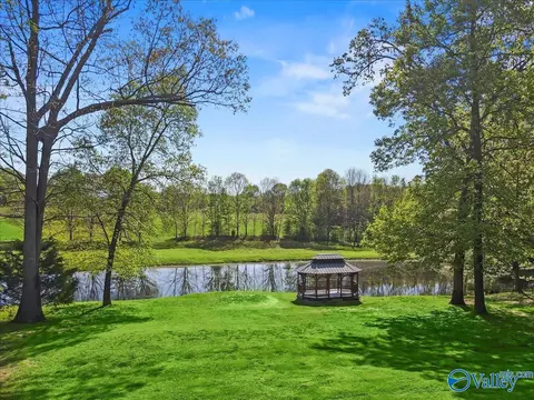 321 Widgren Dr, Arab, AL 35016 photo 3