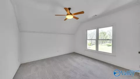 190 Overlook Dr, Section, AL 35771 photo 39