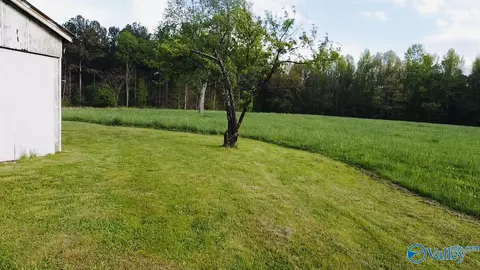 28263 Easter Ferry Rd, Lester, AL 35647 photo 20