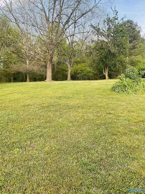 28263 Easter Ferry Rd, Lester, AL 35647 photo 25