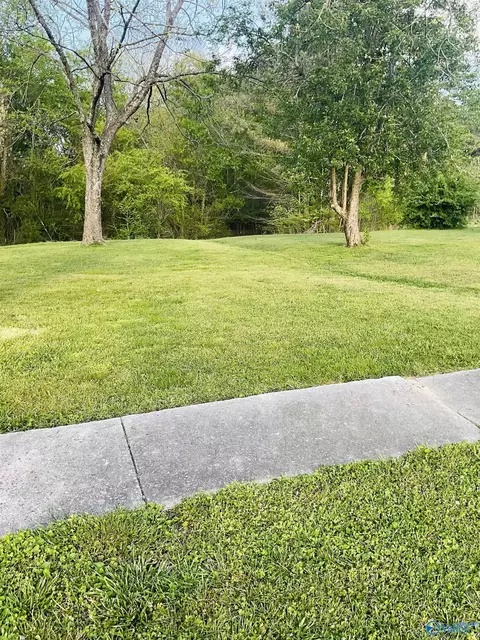 28263 Easter Ferry Rd, Lester, AL 35647 photo 22