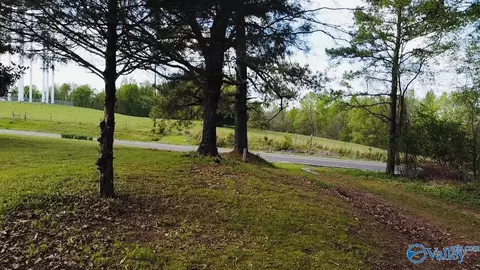 28263 Easter Ferry Rd, Lester, AL 35647 photo 15