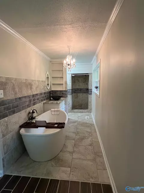 Bath - 664 Hunt Rd, Arab, AL 35016 photo 2 of 3