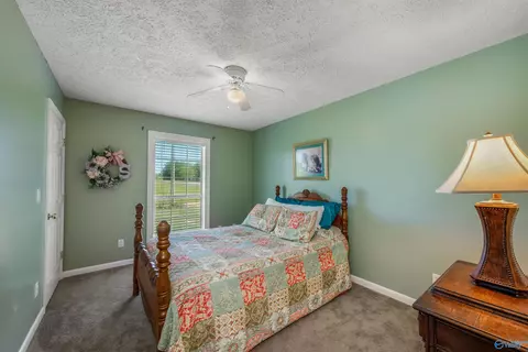 787 County Road 152, Section, AL 35771 photo 24