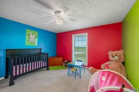 787 County Road 152, Section, AL 35771 photo 21