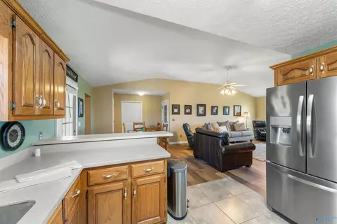 787 County Road 152, Section, AL 35771 photo 16