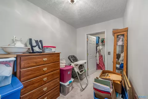 787 County Road 152, Section, AL 35771 photo 27