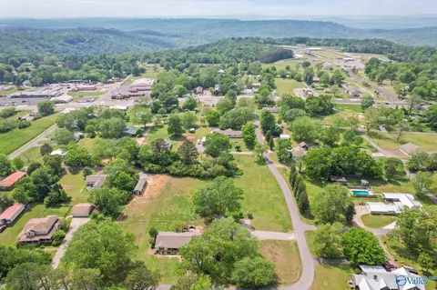 View/Area - 399 3rd Ave, Grant, AL 35747 photo 3 of 4