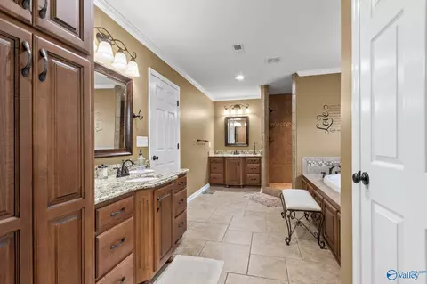 Bath - 399 3rd Ave, Grant, AL 35747 photo 6 of 6