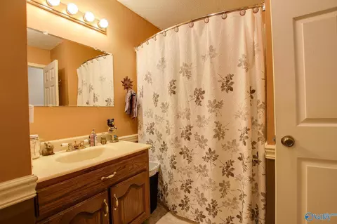 294 County Road 591, Trinity, AL 35673 photo 12