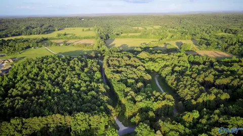 18 Acres South Chapel Hill Rd, Decatur, AL 35603