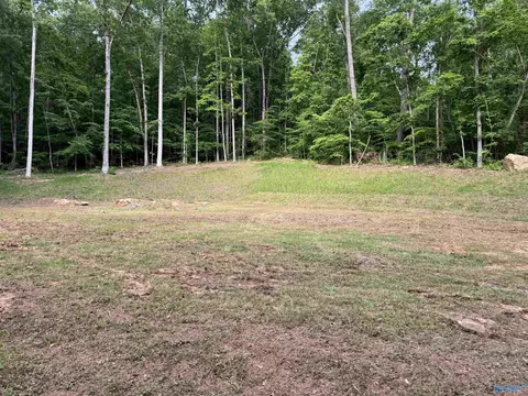lot S 82 And 83 Wyeth Dr, Guntersville, AL 35976