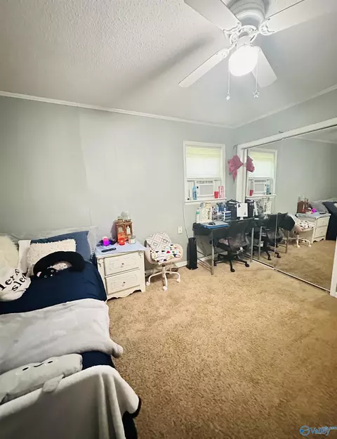 9448 County Road 434, Trinity, AL 35673 photo 23