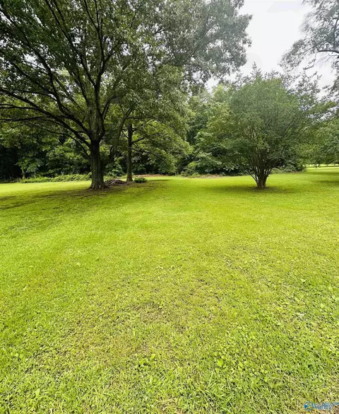 9448 County Road 434, Trinity, AL 35673 photo 35