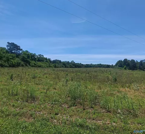 2390 Martling Gap Rd, Albertville, AL 35951