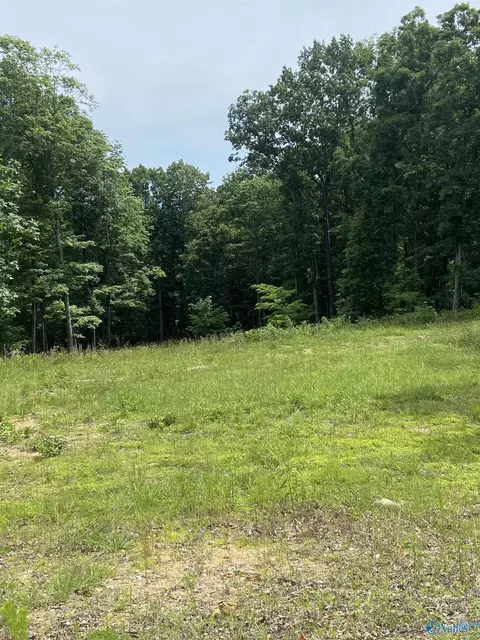 42 Watson Grande Way, Owens Cross Roads, AL 35763