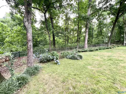 245 Tin Top Rd, Grant, AL 35747 photo 36
