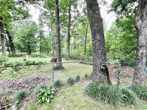 245 Tin Top Rd, Grant, AL 35747 photo 12