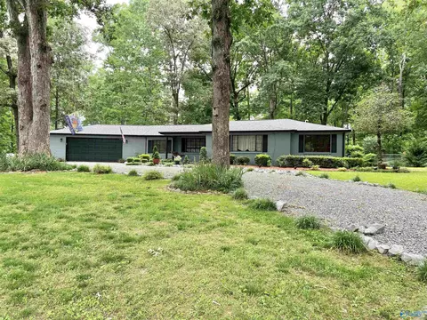 245 Tin Top Rd, Grant, AL 35747 photo 1