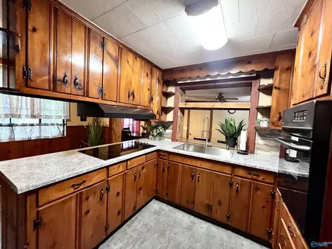 245 Tin Top Rd, Grant, AL 35747 photo 18
