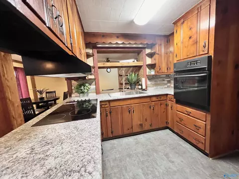 245 Tin Top Rd, Grant, AL 35747 photo 16