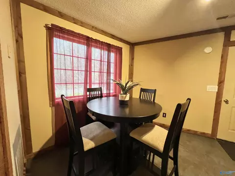 245 Tin Top Rd, Grant, AL 35747 photo 23