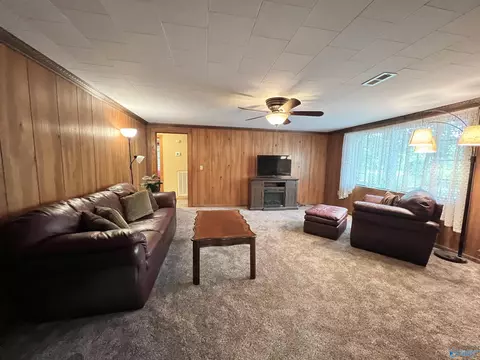 245 Tin Top Rd, Grant, AL 35747 photo 13
