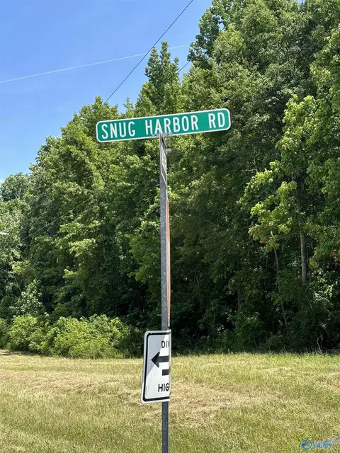 lot4 Mitchell Hollow Rd, Grant, AL 35747 photo 20