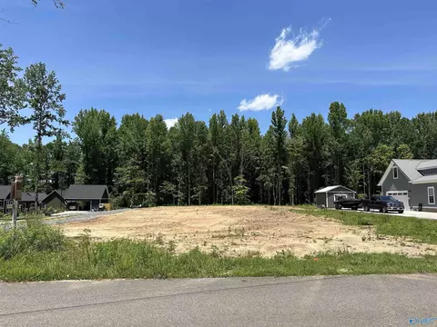 lot4 Mitchell Hollow Rd, Grant, AL 35747 photo 3