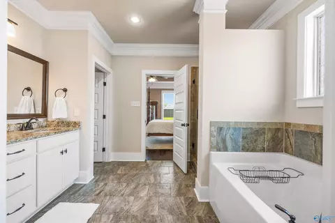 101 Bowdock Dr, Madison, AL 35756 photo 20