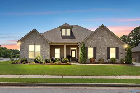 101 Bowdock Dr, Madison, AL 35756 photo 1