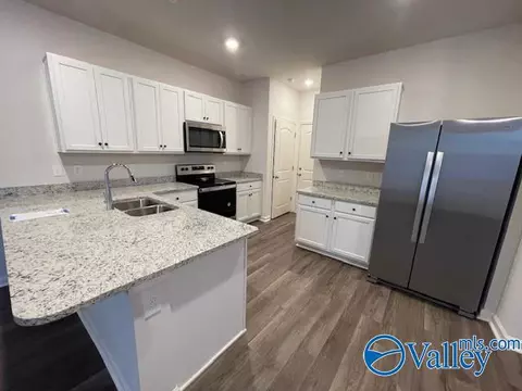165 Maple Spring Trl, Madison, AL 35758 photo 6