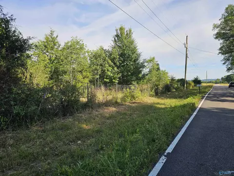 20 Acres Apt 1 Lee Rd, Falkville, AL 35640