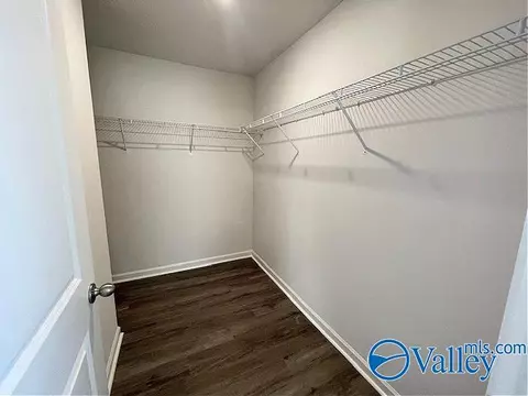 161 Maple Spring Trl, Madison, AL 35758 photo 13