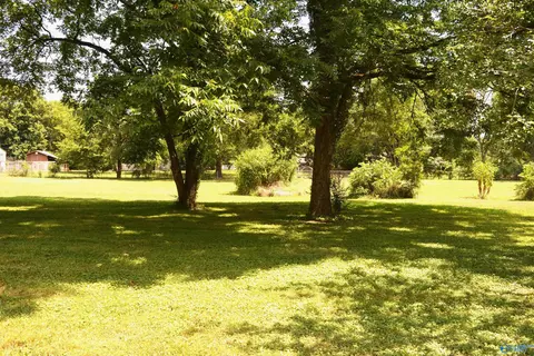 39 Acres Harvey Wilborn St, Scottsboro, AL 35768