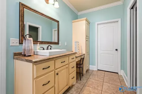 151 Lashae Loop, Grant, AL 35747 photo 25