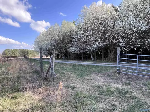 64 Acres County Road 463, Section, AL 35771 photo 5