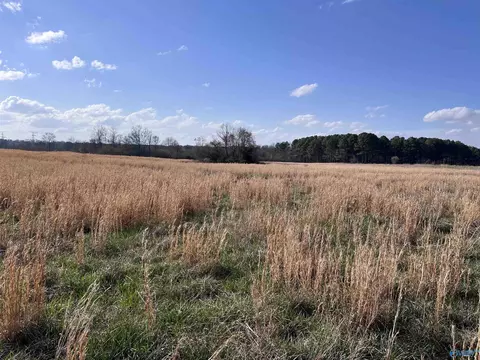 64 Acres County Road 463, Section, AL 35771 photo 4